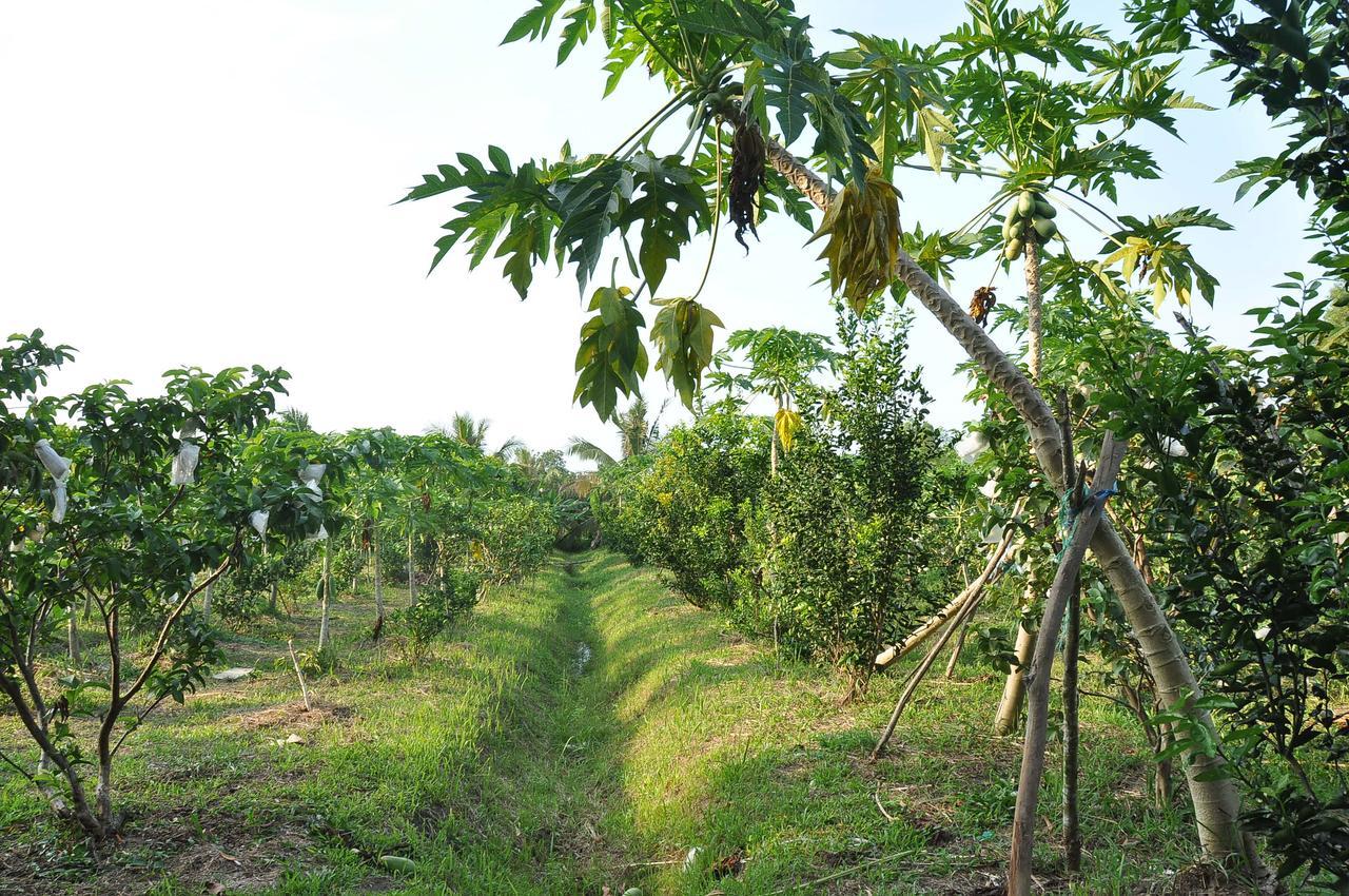 Orchard Fruit Farm Bungalow Phú Quốc Exterior photo