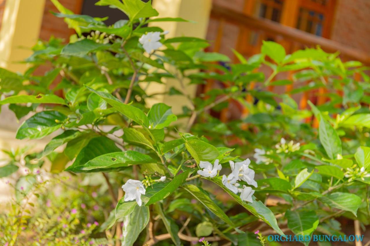 Orchard Fruit Farm Bungalow Phú Quốc Exterior photo