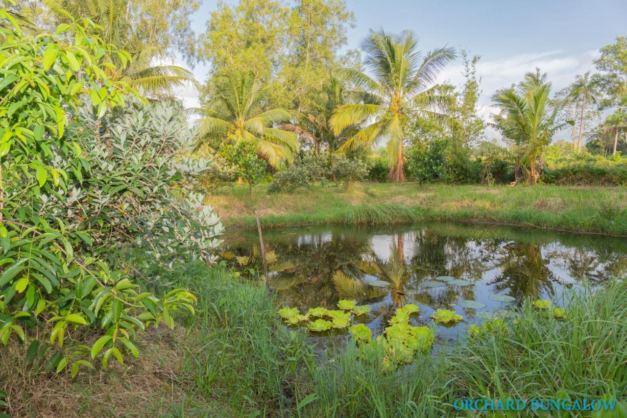 Orchard Fruit Farm Bungalow Phú Quốc Exterior photo