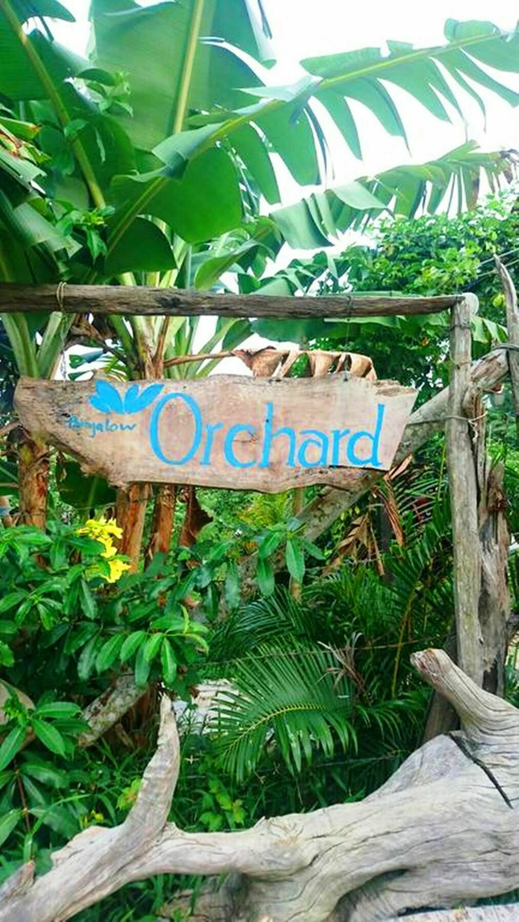 Orchard Fruit Farm Bungalow Phú Quốc Exterior photo