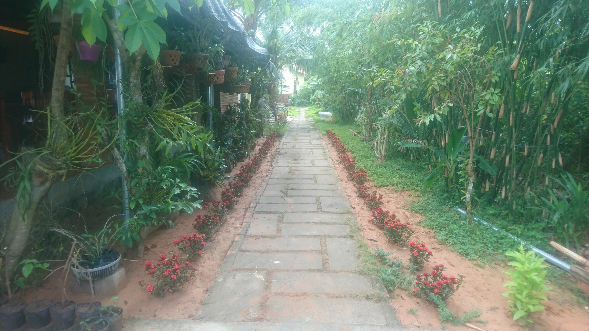 Orchard Fruit Farm Bungalow Phú Quốc Exterior photo