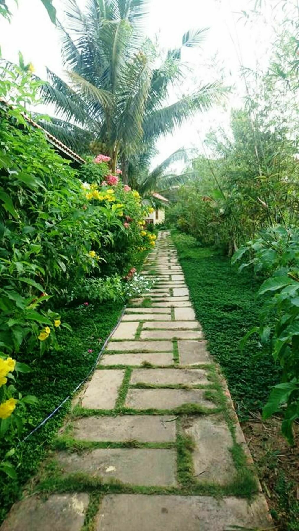 Orchard Fruit Farm Bungalow Phú Quốc Exterior photo
